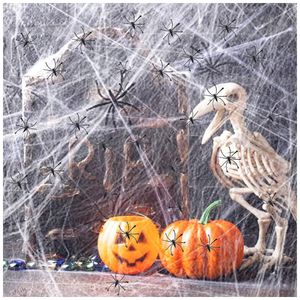 image-54cd9b6e5fea45b6ba46f7362af56802