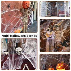 image-541c22a6465e49c49113debdab150f4f