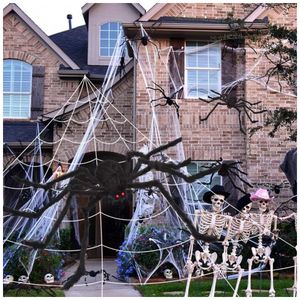 image-37e5612d55aa4b88a571e0f8321a3b2c