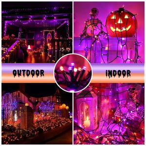 image-12f7306d84874d63bc5f21e02f6b20db image-12f7306d84874d63bc5f21e02f6b20db