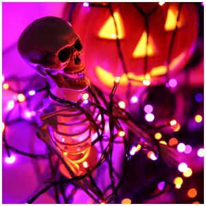 image-855c4b3afaf94decb8fac63dcd280e1e image-855c4b3afaf94decb8fac63dcd280e1e