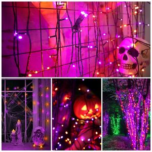 image-7789c856d2814325b893fd89ba59da4e image-7789c856d2814325b893fd89ba59da4e