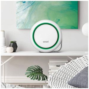 image-b5a12b490d174007b3d5d6bb0228f812 image-b5a12b490d174007b3d5d6bb0228f812