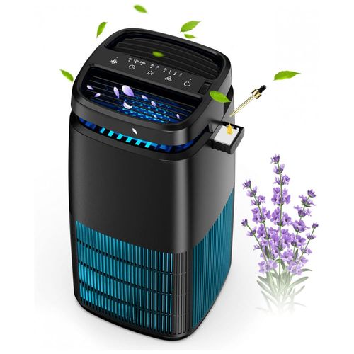 image-e7081f7ab36b44579bcca793a31d885f image-e7081f7ab36b44579bcca793a31d885f