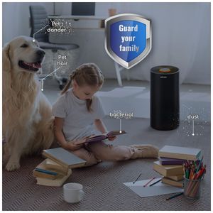 image-66a857c145e0401484042b1f5b168eba image-66a857c145e0401484042b1f5b168eba