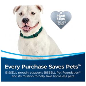 image-cf4e01b8221e4f45930d55608d1a2fe6 image-cf4e01b8221e4f45930d55608d1a2fe6