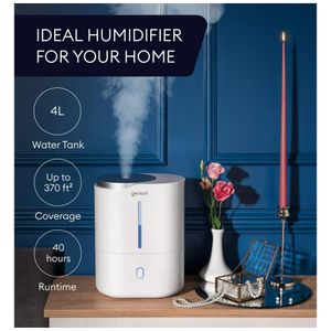 image-7943056f688e4693b32221a720b225ea