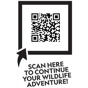 image-9d8f4483fc2c4dbbbfb6e8b1270c465e