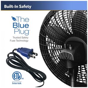 image-0caf4b2d36414efaaa1d0f46fd111317 image-0caf4b2d36414efaaa1d0f46fd111317