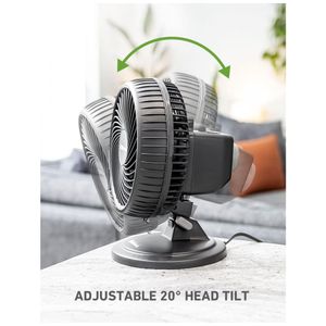 image-ec22cf25908645c7805f99a1c5cae021 image-ec22cf25908645c7805f99a1c5cae021