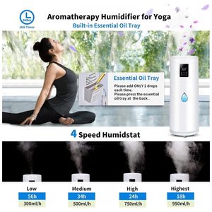 image-dbbfc46ec94f42e1a0d2ea94997729ef image-dbbfc46ec94f42e1a0d2ea94997729ef