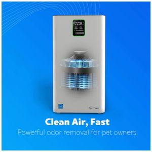 image-7608a26970be4cb78391ecc58b6f4389 image-7608a26970be4cb78391ecc58b6f4389