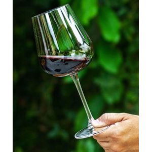 image-9b9a799d28b2459ebef4f5a63be6fa6a image-9b9a799d28b2459ebef4f5a63be6fa6a