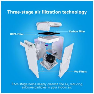 image-a0d3e160f77b4eb5a42279ddf8de9080 image-a0d3e160f77b4eb5a42279ddf8de9080