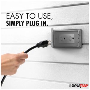 image-ed07667ecc1c401d9ff3b5c1cff633a9 image-ed07667ecc1c401d9ff3b5c1cff633a9