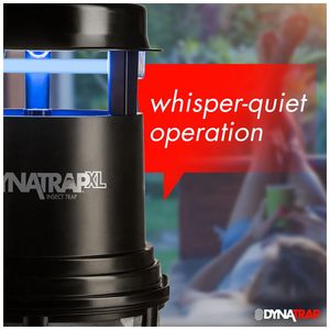 image-01de9632ecd64c4e88b444c514f91199 image-01de9632ecd64c4e88b444c514f91199