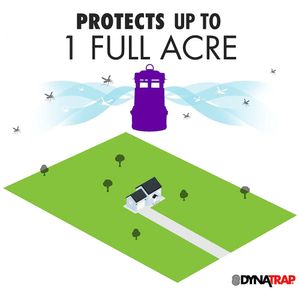 image-97e830de91d54175ad68418776744f2d image-97e830de91d54175ad68418776744f2d