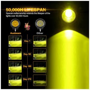 image-0e24853b2c044d6cab100279fb36e817