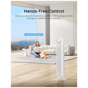 image-ac7b9d19456345a9b922bde20a4eda8e image-ac7b9d19456345a9b922bde20a4eda8e