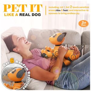 image-00a721cffa2f4bb0aa056a111bd6a3cf