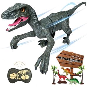 image-206dd19e8f7e41ecab11c817287e47a2