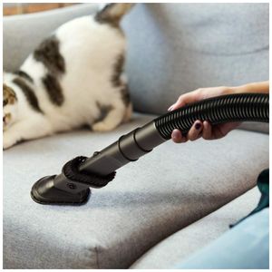 image-27a08a551fd04655a303724b2c640409 image-27a08a551fd04655a303724b2c640409