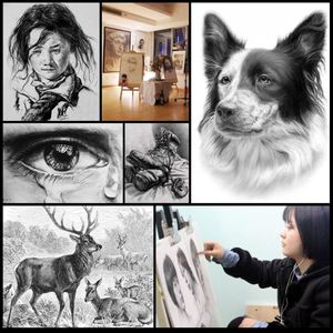 image-fc51b43596d442afae4b051f2f29164e image-fc51b43596d442afae4b051f2f29164e