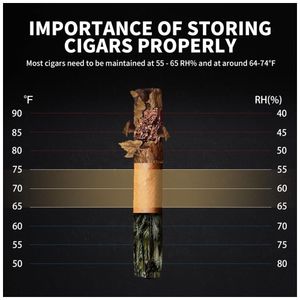 image-7e2fe37eecec4a1eae380879a9958f2b image-7e2fe37eecec4a1eae380879a9958f2b