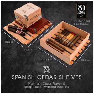 image-d3792a35e8b543e8aa616d273fb7e2fe image-d3792a35e8b543e8aa616d273fb7e2fe