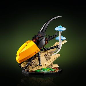image-7ab92f0decfd4ed88e511cfcb3596dee