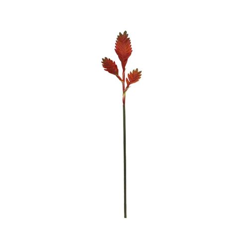 Haste em plástico Brilliance Alpinia 80cm vermelha