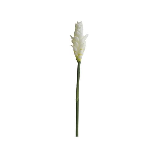 Haste em plástico Brilliance Alpinia 90cm branca