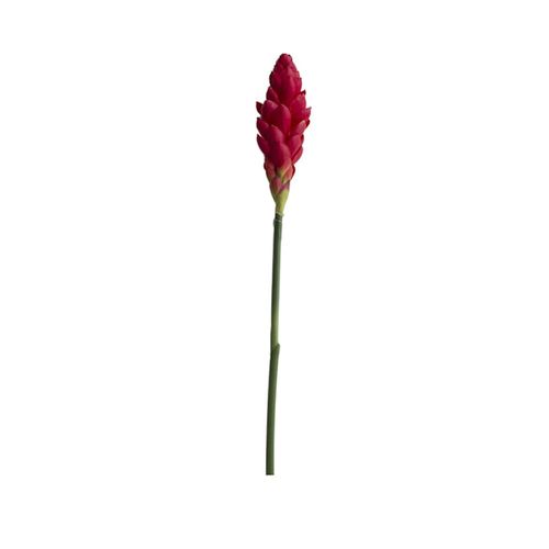 Haste em plástico Brilliance Alpinia 90cm vermelha