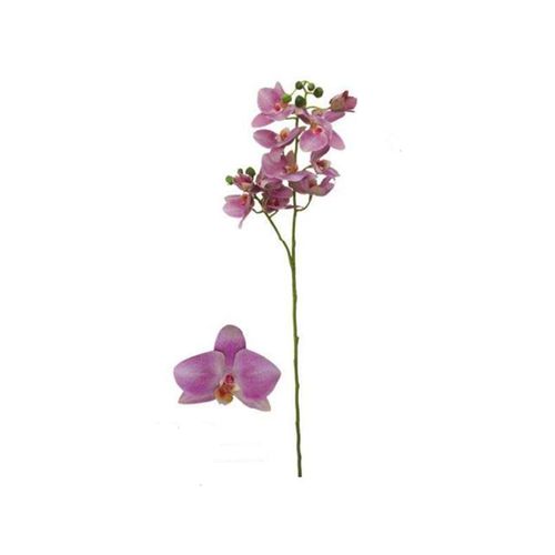 Haste orquídea phalaenopsis 10 flores em plástico Brilliance 85cm rosa