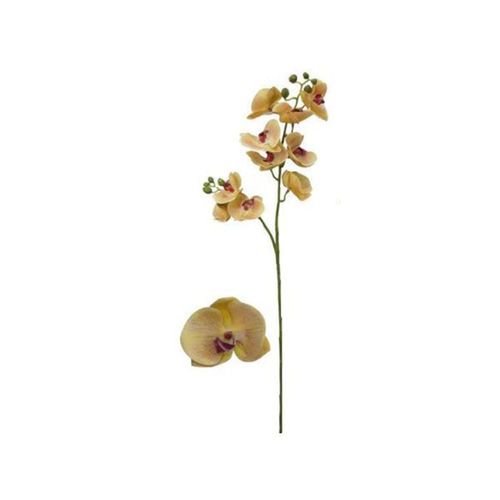 Haste orquídea phalaenopis em plástico Brilliance 90cm amarela