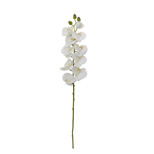 Haste de Orquídea Phalaenopsis Brilliance 77cm branca