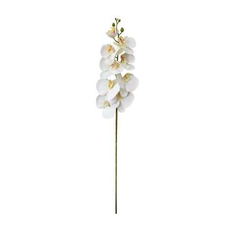 Haste Orquídea Phalaenopsis em plástico Brilliance 85cm
