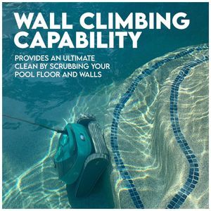 image-d67b1d7cd76543d5bca72d92414c85f9 image-d67b1d7cd76543d5bca72d92414c85f9