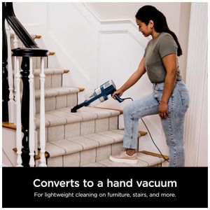 image-55fe0d4cb0b94ad590e205becd9aae0e image-55fe0d4cb0b94ad590e205becd9aae0e