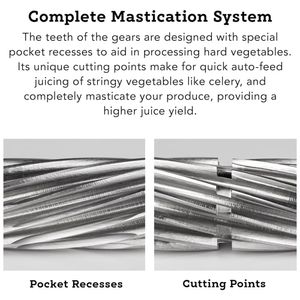 image-4377df22b1b94e42a94b38c4255e17ee