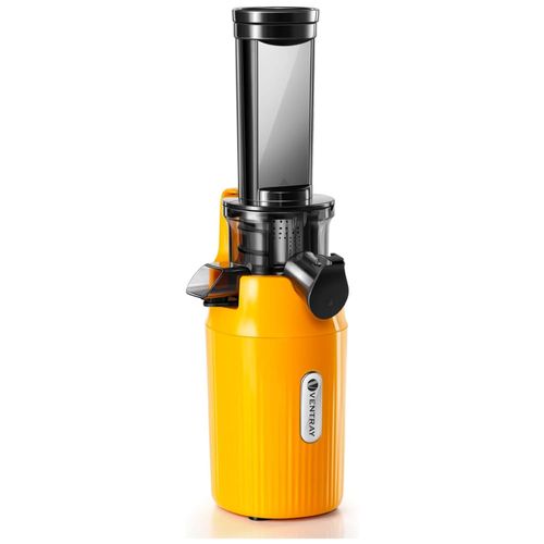 image-d117b3595c7647cb8c3b1cb0bcc33ce4 image-d117b3595c7647cb8c3b1cb0bcc33ce4