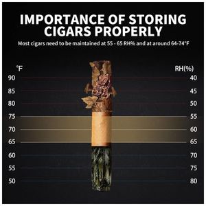 image-cc79e1067d80466a9142cb5036a6ab5e