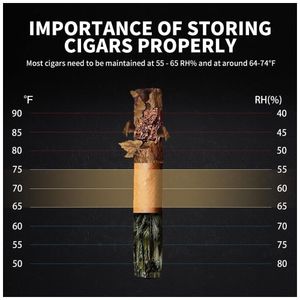 image-1c2dfe28d7154fd7a1c99fbc8faf9622 image-1c2dfe28d7154fd7a1c99fbc8faf9622