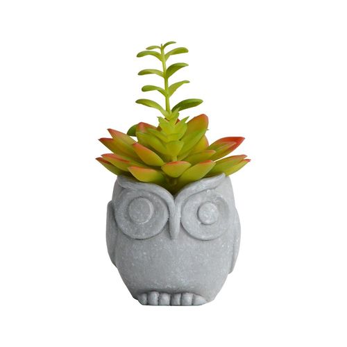 Vaso com suculenta em cimento e plástico L'Hermitage Coruja 8,5x7,5x8cm cinza Vaso com suculenta em cimento e plástico L'Hermitage Coruja 8,5x7,5x8cm cinza