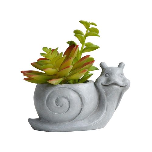 Vaso com suculenta em cimento e plástico L'Hermitage Caramujo 13x7,5x8cm cinza Vaso com suculenta em cimento e plástico L'Hermitage Caramujo 13x7,5x8cm cinza