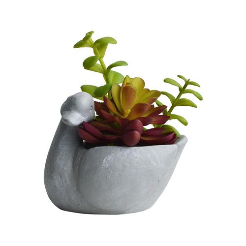 Vaso com suculenta em cimento e plástico L'Hermitage Pato 10x8x8,6cm cinza Vaso com suculenta em cimento e plástico L'Hermitage Pato 10x8x8,6cm cinza