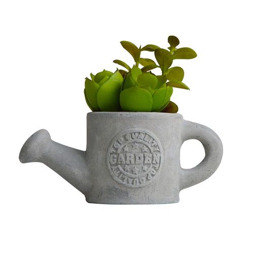 Vaso com suculenta em cimento e plástico L'Hermitage Regador 14x65x6cm cinza