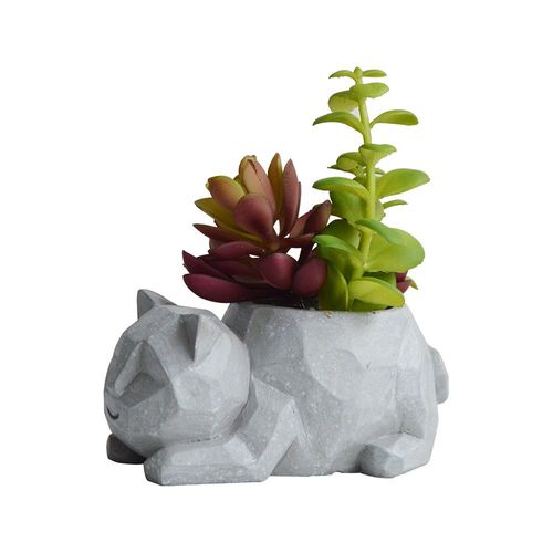 Vaso com suculenta em cimento e plástico L'Hermitage Gato 12,5x7,5x6cm cinza Vaso com suculenta em cimento e plástico L'Hermitage Gato 12,5x7,5x6cm cinza