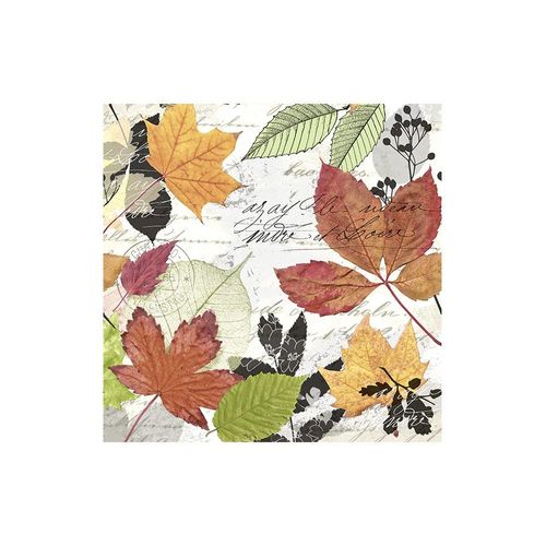 Jogo de guardanapos em papel Paper Design Everyday Herbarium 33x33cm 20 peças Jogo de guardanapos em papel Paper Design Everyday Herbarium 33x33cm 20 peças