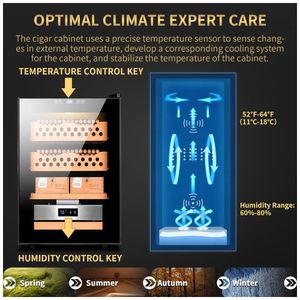 image-04955bd67774450eb629d6983c29c420